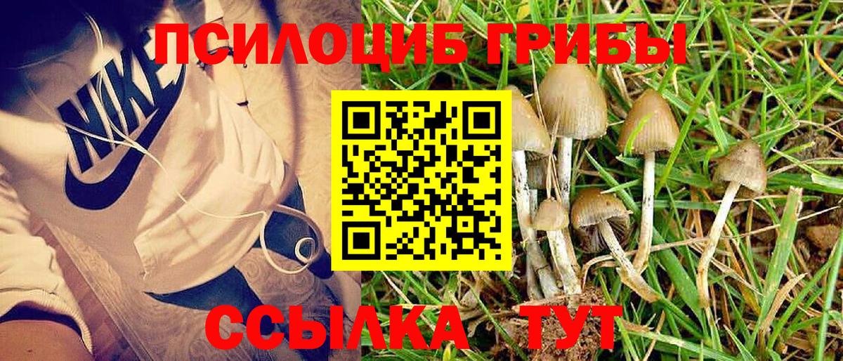 Псилоцибиновые грибы ЛСД  Галлюциногенные грибы мухоморы  Вход с VPN  Донской 